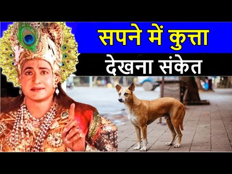 वीडियो: बिल्लियों पनीर खा सकते हैं?