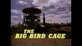 Women in Cages & The Big Bird Cage, prison exploitation#movie#fyp 