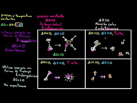 Video: ¿Cuál es la diferencia básica entre el quizlet de reacciones exergónicas y endergónicas?