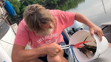 Ep 246 | Hunting Mud Crabs, Port Douglas, Sailing Nutshell