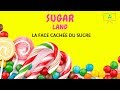 Sugarland film  la face cache du sucre avis et ractions