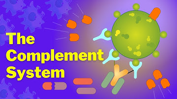 The Complement System is SO EASY! Stop Making it Hard!