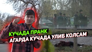 Кочада Пранк (1-Кисм) Агарда Кочада Ýлиб Колсам