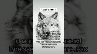 #волк 《Э♠️М🐺И🖤Н》#wolf #волки #canavar #цитатыпрожизнь #цитатыосмысле #рекомендации #жизнь #мотивация