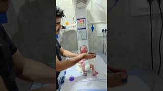 Bsc Nursing students life 😱😱 Nicu new born baby care #nicu #care #baby #nursing