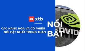 Phân tích hàng hóa và cổ phiếu đáng chú ý trong thời gian tới | XTB Vietnam