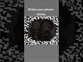 shake your phone slowly #memes