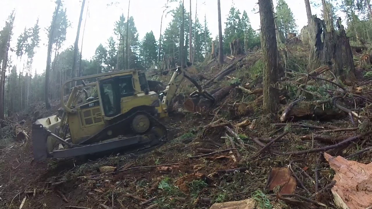 WOODS TANK!!! YouTube