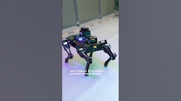 Sylante.com - AI Vision Quadruped Robot for Advanced Robotics and Automation