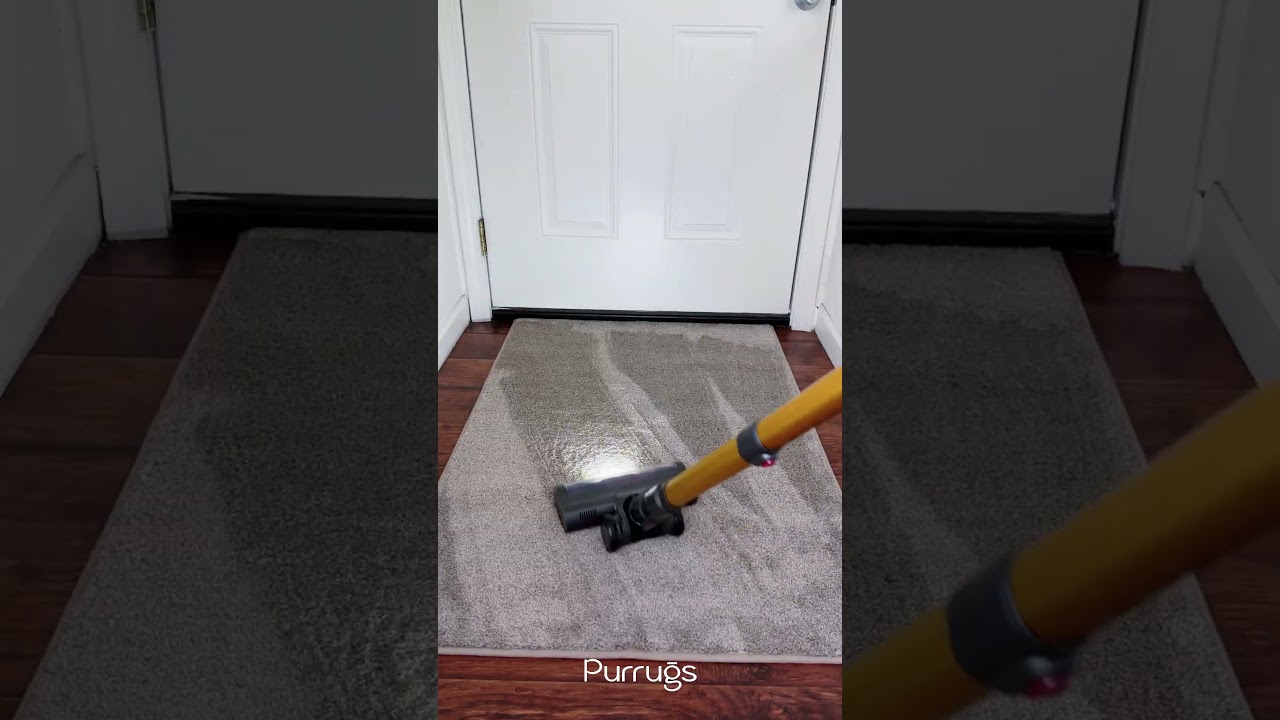 🎥Influencers Love Their Purrugs ✨ 