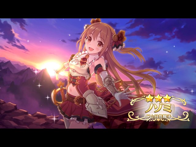 ヴァイスシュバルツプリンセスコネクトRe:dive  ノゾミ　日笠陽子サイン入り ヴァイスシュヴァルツ アニメ プリンセスコネクト！Re:Dive Season 2
