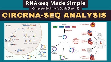 Circular RNA-seq Analysis for Absolute Beginners (Part 13)