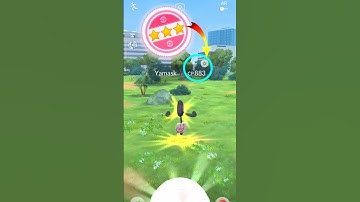 OMG! Got ✨ Hundo Yamask in Pokemon Go #pokemongo #pokemon #pokémongo #pokémon #shorts #100