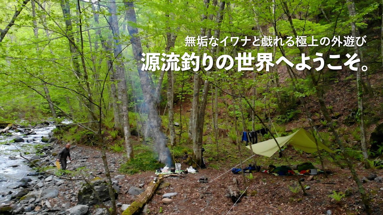 九州の沢と源流 沢遊び・沢登りのすすめ 九州の沢と源流 沢遊び・沢登りのすすめ - メルカリ