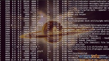curso linux 10 processos servicos
