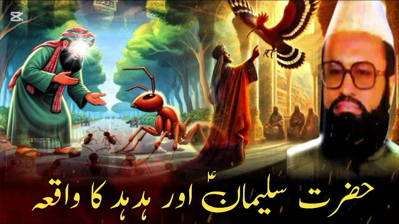 Wisdom of Sulaiman (A.S) – The Bird Who Brought the Truth Syed Abdul Majeed Nadeem Shah