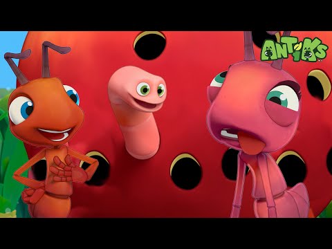 Grand Thief Apple | 🐛 Antiks 🐜 | Funny Cartoons for Kids | Moonbug