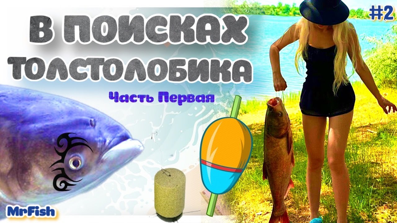 РЫБАЛКА ОГРОМНЫЕ ТОЛСТОЛОБИКИ . РЫБАЛКА НА ОЗЕРЕ . КАК ПОЙМАТЬ ТОЛСТОЛОБИКА БОЛЬШОГО