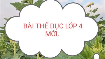 Bài thể dục lớp 4 mới. Sách cánh Diều.  Cô. Nguyễn Hường.
