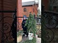 Vlogmas Day5