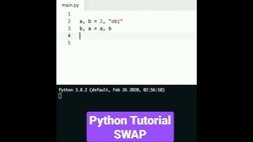 Python Tutorual - SWAP #Shorts #EICS