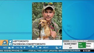 Rob Lowe And Ryan Murphy Are Talking About Developing A Tiger King Adaptation