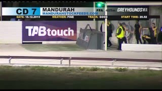 Mandurah-18122015-Race-7
