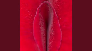 Sex the Forbidden Fruit (feat. Maurice Williams)