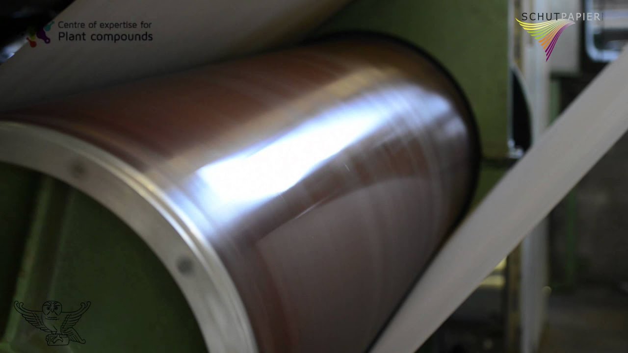 From tomato stem to carton box