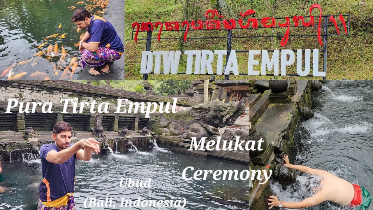 Sacred Melukat Purification Ritual | Pura Tirta Empul Temple | Ubud | Bali | Colourful Fishes
