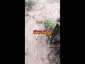 #纪实故事#故事会#睡前故事