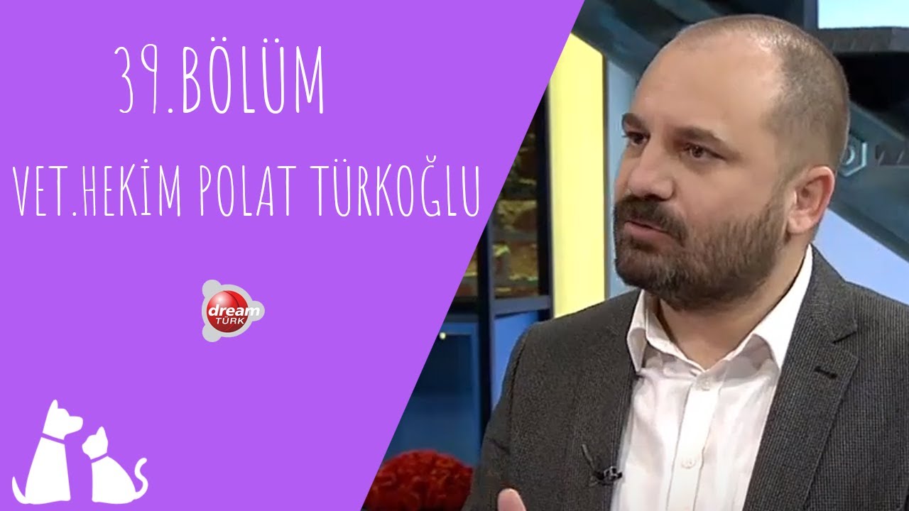 Evcil Hayvanlarda Sık Görülen Hastalıklar Nelerdir? | ÇOK YAŞA CAN DOSTUM