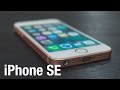 Обзор iPhone SE. 5 причин купить компактный флагман | UkrainianiPhone