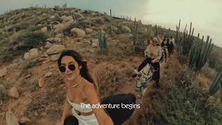 Welcome To Lucha The Ultimate Stay For Family & Friends In Aruba