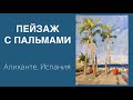 Пейзаж с пальмами в Аликанте