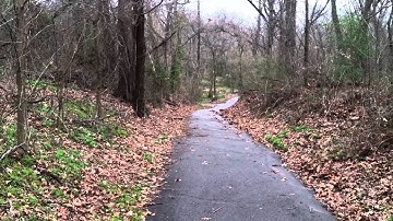 Ray Harral Nature Park with Eddie Bear the Cairn Terrier (2016)