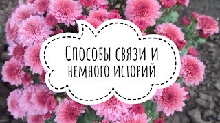 видео: Способы связи на Авито и немного историй картинка: Способы связи на Авито и немного историй