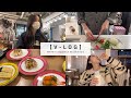 오랜만에 흑발 염색💇🏻‍♀️💜맛있게 먹으면서 건강하게 관리하는 VLOG/저 이사가요🥺! (JPN/ENC)