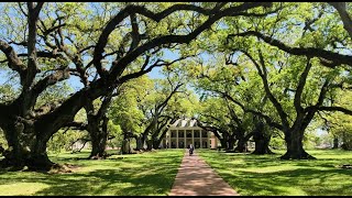 Oak Alley Plantation- Louisiana Short VLog by Radha Chetan 34 views 7 months ago 2 minutes, 58 seconds