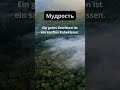 Немецкая пословица с переводом | Мудрость #Deutschkenntnisse