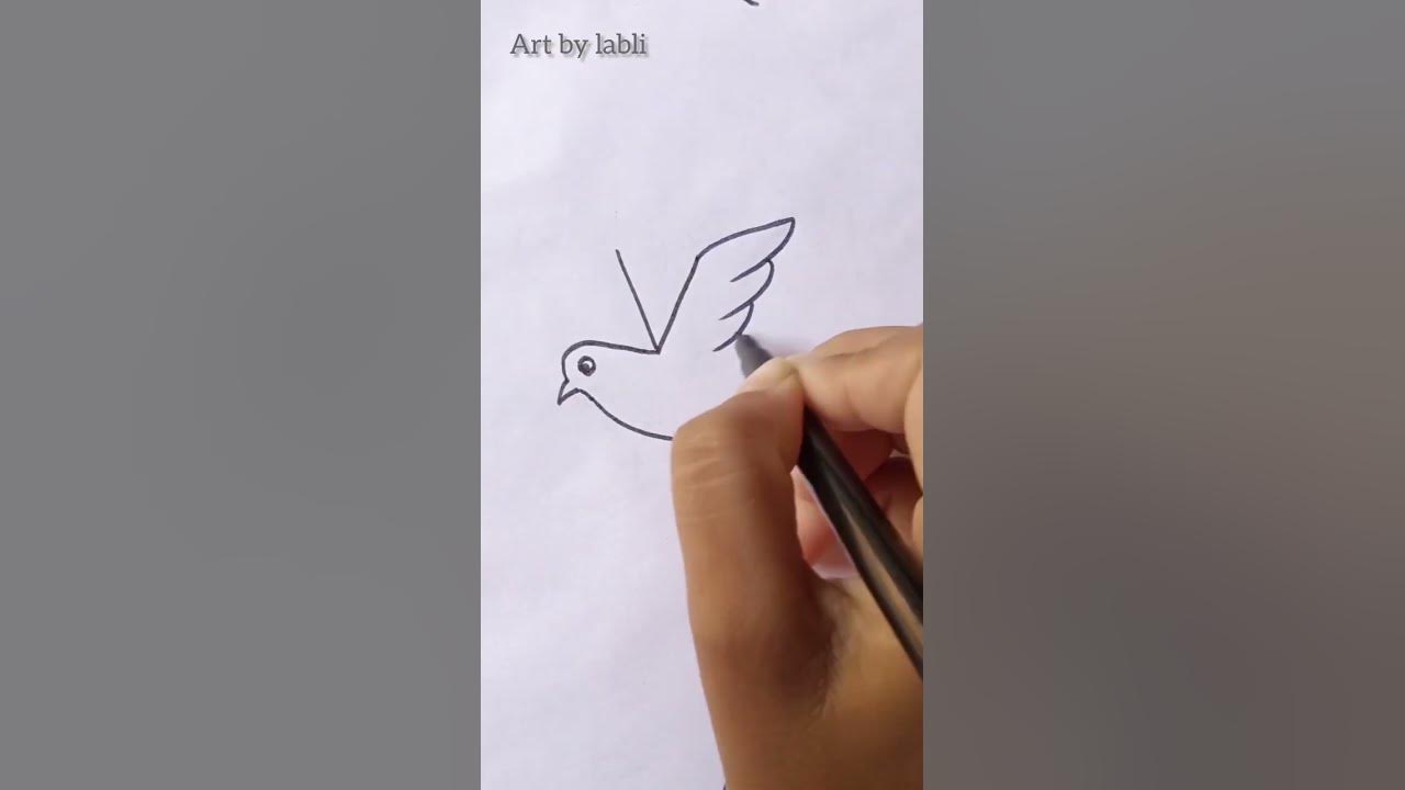 V Bird drawing YouTube