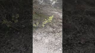 Вход в шахты около санатория Сругураш в Молдавии. Здесь в СССР добывали известняк