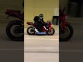 600cc or 1000cc - What Should You Pick?