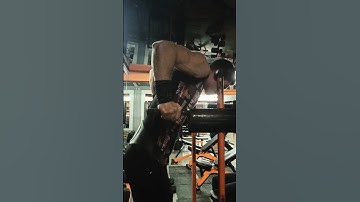 #bodybuilding #danestetic "Pike-up on parallel bars"