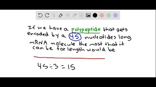 What is the length of an αhelical section of a polypeptide chain of 20 residues? What is its …