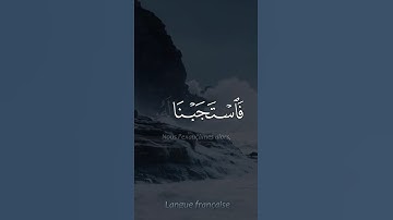 اكتب شيء تؤجر عليه 🩶😴 #القارئ_هيثم_الدخين #karim_quran_1