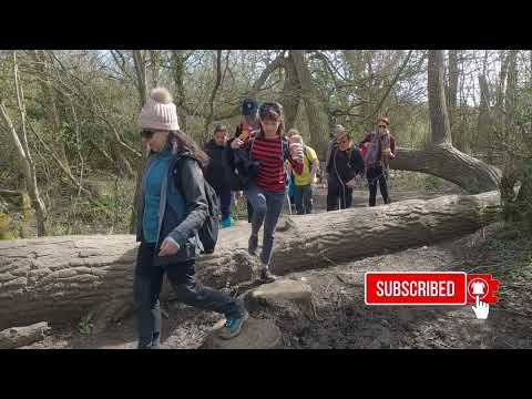 Northern Heights | Totteridge Circular walk 4K | Day Sunday | 🇬🇧 Hiking UK | England