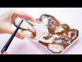 【飯テロ系ASMR】なまこ SEA CUCUMBER EATING SOUNDS 너무 싱싱한 해삼 먹방, ปลิงทะเล, Hải sâm, Timun laut, 해산물【咀嚼音】