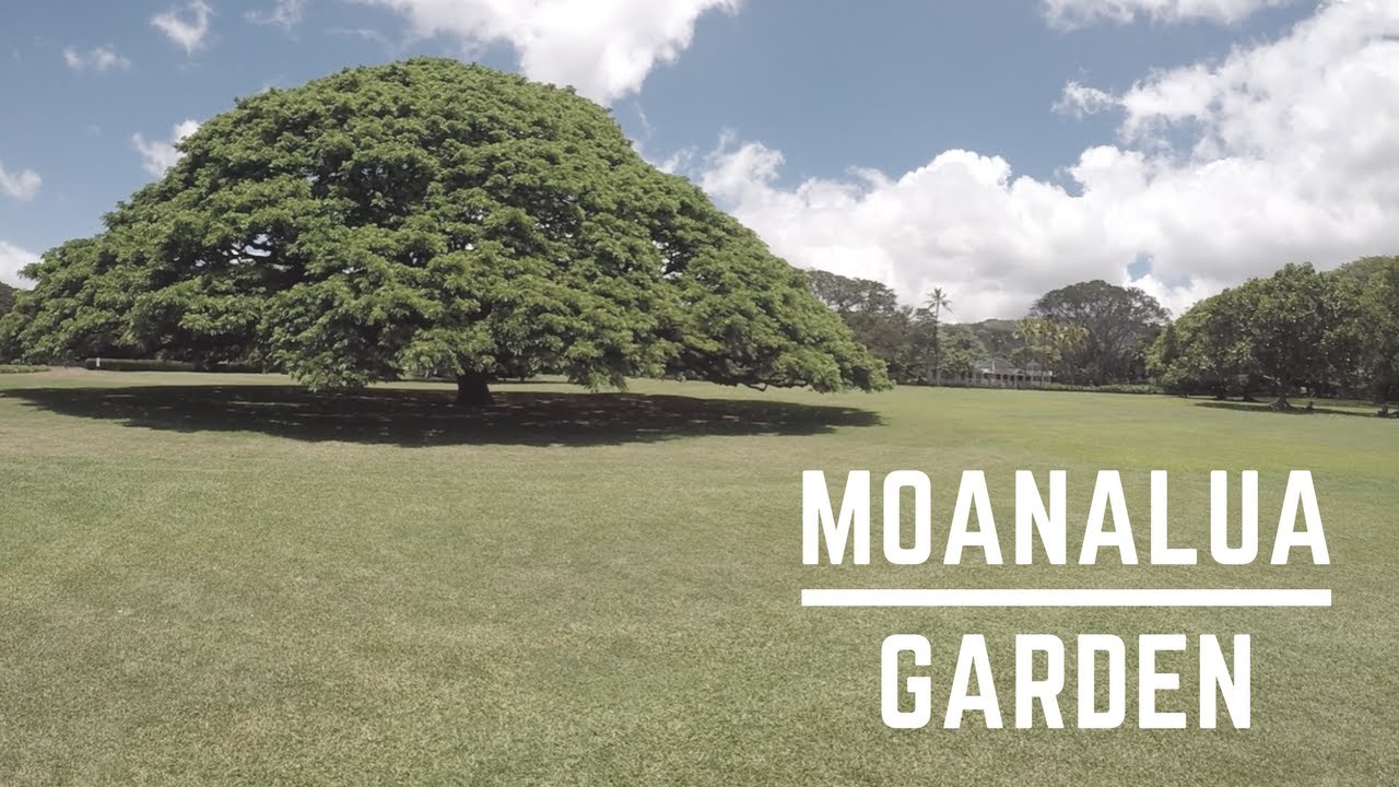 Moanalua Garden