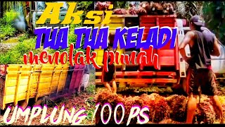 Umplung ⁉️Si Mbahnya Canter || Menaklukkan Medan Lumpur@Ljjm894
